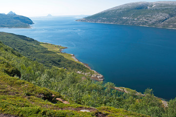 Fototapeta na wymiar Fjord view in the North of Norway