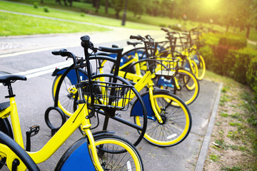 Parking rental yellow bicycles in the city park.