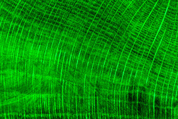 abstract green wood  background