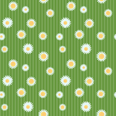 Chamomile flowers seamless pattern on a green striped background. Vector illustration texture with small flowers. Modern summer surface design.