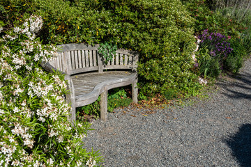 Wooden bench in a sunny garden, peaceful place to rest next to a gravel path
