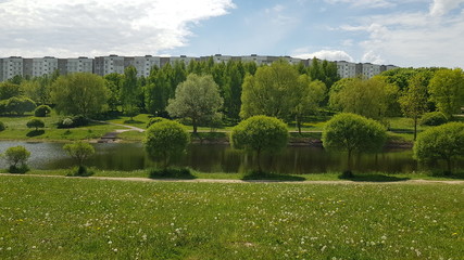 Beautiful city park. Green trafa, trees, apartment buildings. Sunny weather.