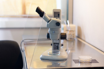 Stereo microscope inside a laminar flow cabinet used to tissue culture in petri dishes for research purposes in laboratory