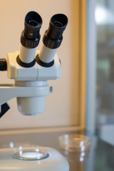 Stereo microscope inside a laminar flow cabinet used to tissue culture in petri dishes for research...