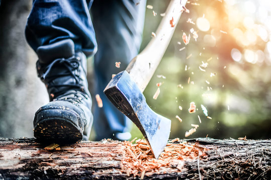 Man holding heavy ax. Axe in strong lumberjack hands chopping wood trunks