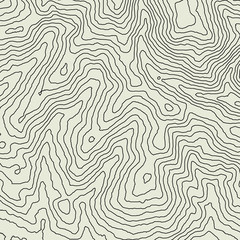Topographic map contour vector mountain geographic relief background. Contour map terrain