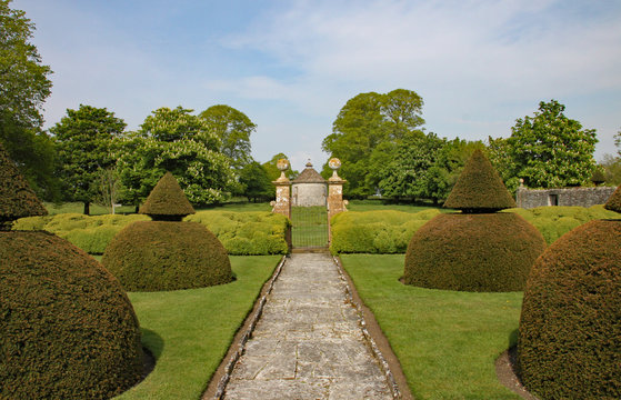 A path edged with with rounded topiary bushes with a conical top leads up to an old wrought iron gate
