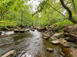 Stream in the forest, in Hardcastle Crags, Halifax, Yorkshire, UK