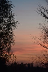 Naklejka premium Zachód słońca wiosną