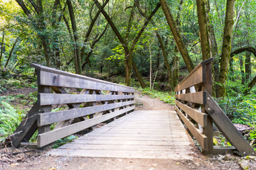 Wooden bridge on a hiking trail in the forests of Santa Cruz mountains, Sanborn County Park, California