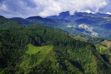 Fototapeta na wymiar Alpine landscape in Cordiliera Central, Salento, Colombia, South America 