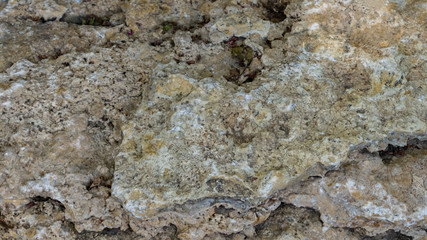 Yellow and brown stone with bends and cracks in the park. Background. Macro shooting, closeup