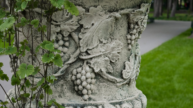 White vintage vase with grape pattern and vine branches, loppy from it. Park. Background. Macro shooting, closeup