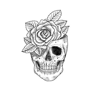 Skull Rose Tattoo Images – Browse 13,739 Stock Photos, Vectors, and Video |  Adobe Stock