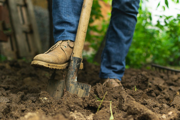 Gardener digging in the garden © rastkobelic