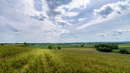Countryside landscape, wild fallow field, poppies in bloom