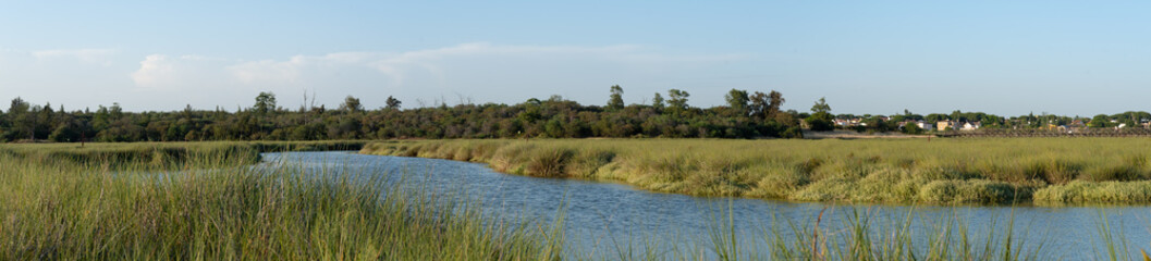 Marsh panoramic.