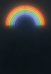 Creative fluorescent color rainbow layout made of neon tubes. Flat lay neon colors. Summer concept. Wall texture dark minimal background. - 353252942