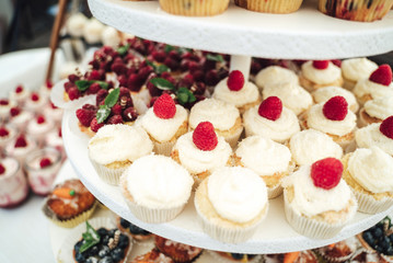 Delicious miniature cakes in buffet trays. Fruit decorated cupcakes. Various desserts at party. Celebration, party, birthday or wedding concept.