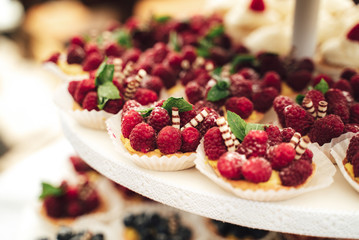 Delicious miniature cakes in buffet trays. Raspberry decorated cupcakes. Various desserts at party. Celebration, party, birthday or wedding concept.