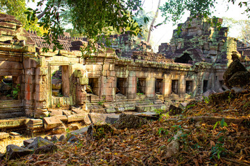 Obraz premium Piękny widok na świątynie Angkor Wat w Siem Reap w Kambodży.