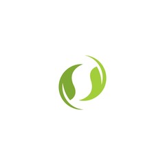 Obraz premium Tree leaf vector logo design