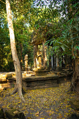 A beautiful view of Angkor Wat temples at Siem Reap, Cambodia.