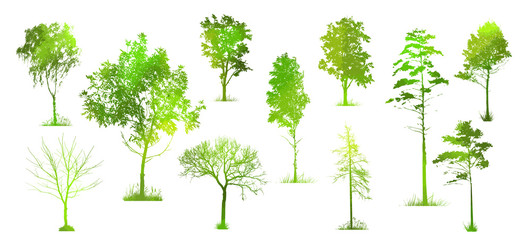 A set of silhouettes of trees. Picturesque green landscape. Mixed media. Vector illustration