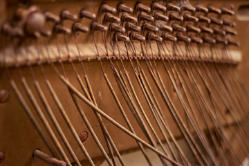 Old piano skeleton and strings