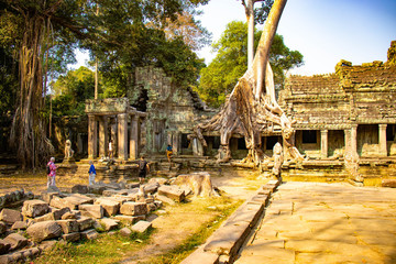 A beautiful view of Ta Phrom temple at Siem Reap, Cambodia.