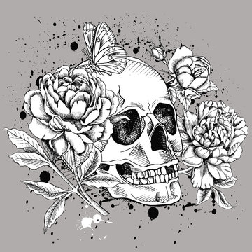 Image of a skull with flowers Rose, Peony and butterfly on gray background. Vector illustration.