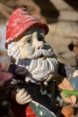 Old sunlit gnome statue looking away