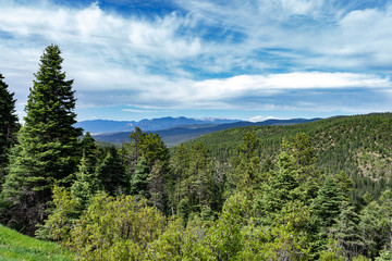 Fototapeta na wymiar summer landscape with blue sky and clouds overlooking the pine forest in the New Mexico Rocky Mountains.