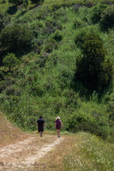 Hikers on East Bay trail