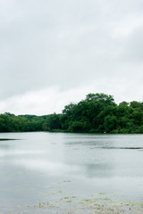 Serene waterfront view in Anna, Texas, on an overcast spring afternoon. Anna is a northern suburb of the Dallas Fort-Worth Metroplex. 
