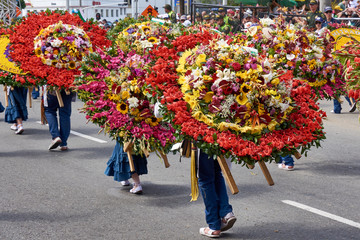 Tradicional desfile de silleteros en Medellin, Colombia, durante la feria de las flores en agosto...