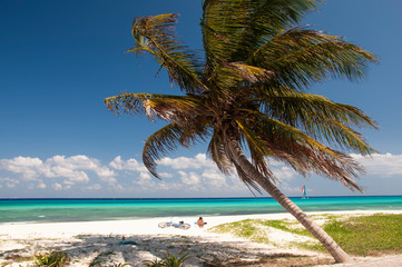 A perfect tropical beach for a tourist with her bike sunbathing, a palm tree, calm sea and a sailboat on the horizon, a perfect place to relax in peace and quiet