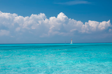 Small Hobie Cat catamarans sailing near the beach, at the horizon of the turquoise sea, blue sky and white clouds  travel and tourism concept, Caribbean Ocean, Mexico © Marco B.