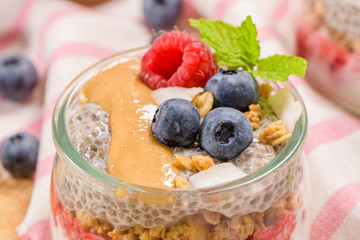 Chia pudding with oat and berries