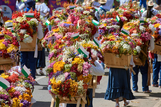Tradicional desfile de silleteros en Medellin, Colombia, durante la feria de las flores en agosto de 2019
