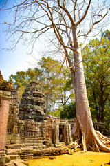 Fototapeta premium A beautiful view of Angkor Wat temple at Siem Reap, Cambodia.