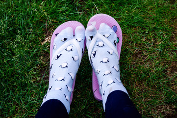 Female feet in flip flips and socks, juvenile, fashion fauxs pas