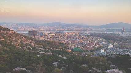 Obraz premium aerial view of paris