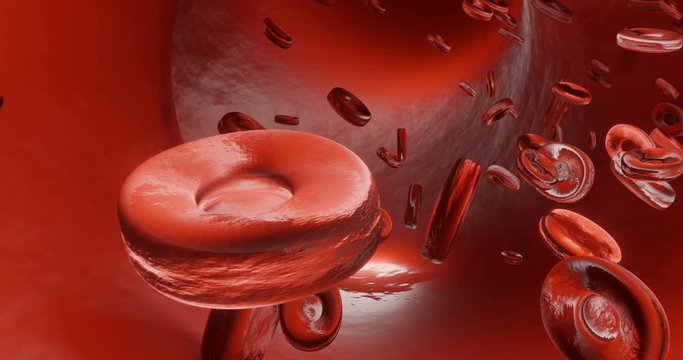 Erythrocytes or red blood cells. It the main component of the blood responsible for delivering oxygen and Preventing and eliminate the pathogen Corona virus COVID-19. Medical illustration. 3D render.