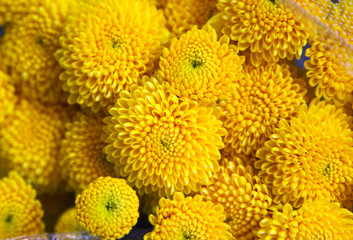 Fresh flower arrangement designed by a professional florist