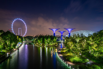 Supertree Grove forest in Gardens by the Bay illuminated with Singapore flyer ferris wheel at night. Asian tourism, modern city life, or business finance and economy concept..