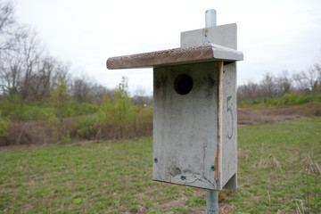 Wooden birdhouse in natural parkland close-up