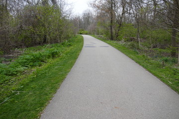 Fototapeta na wymiar Paved foot path through wooded public park