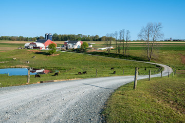 A winding road leads to a small dairy farm in Pennsylvania's Amish Country.