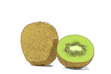 kiwi fruit on a white background